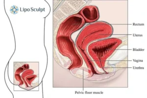 Treatment For A Leaky Bladder 2 How EM Chair treatment Bury St Edmunds can help Leaky bladder issues. Read more now!